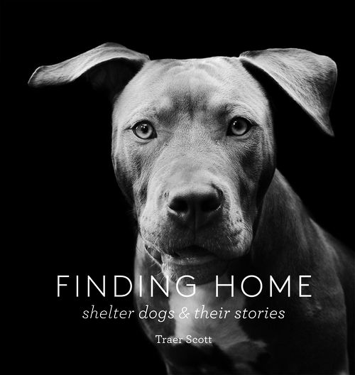 finding home shelter dogs perfect gifts for dog lovers 2021