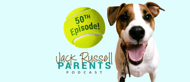 50th episode special - jack russell parents podcast