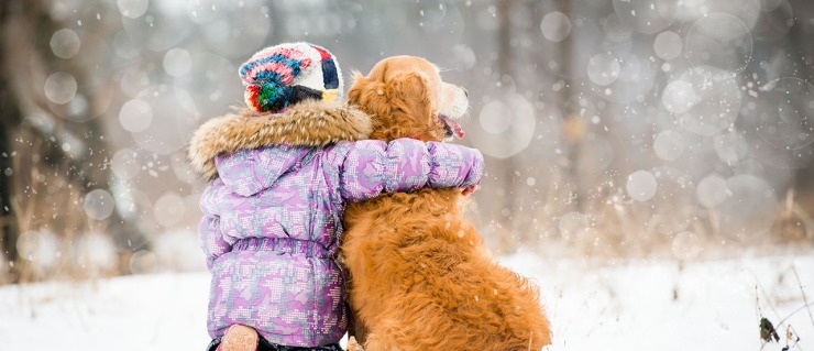 girl miraculously survives blizzard by hugging a dog - stock photo