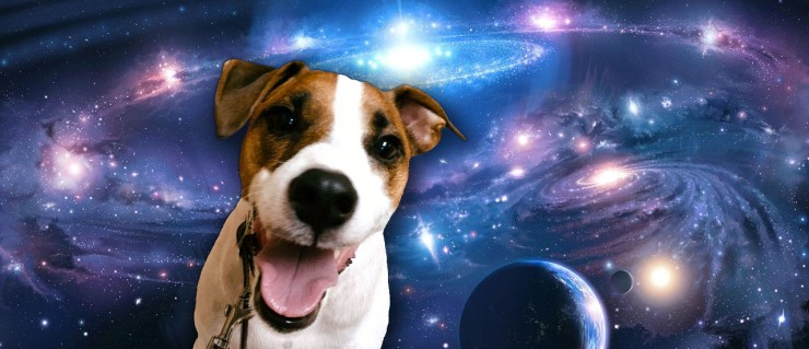 dog podcast multiverse