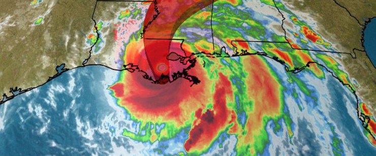 rescuing dogs from hurricane ida