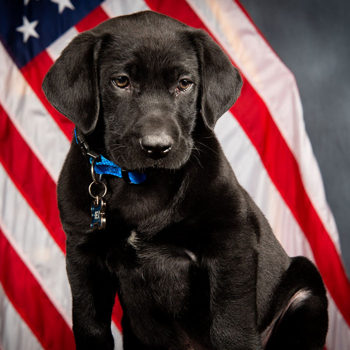 Therapy Dog Encourages Students to Read and Write