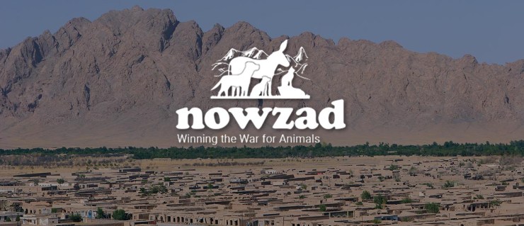 animal rescuers of afghanistan