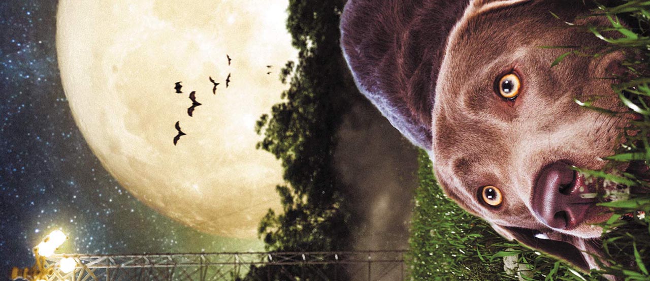 luna howls at the moon banner