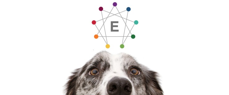 best podcast episodes of 2021 - dogs and the enneagram