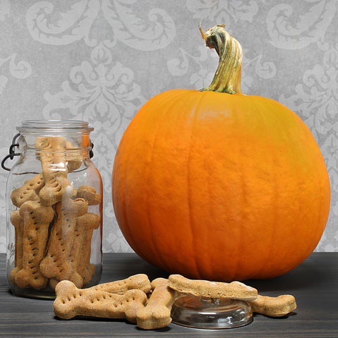 can dogs eat pumpkin