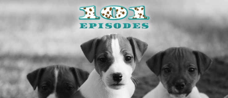 would you rather jack russell terrier edition - 101 episodes - jack russell parents