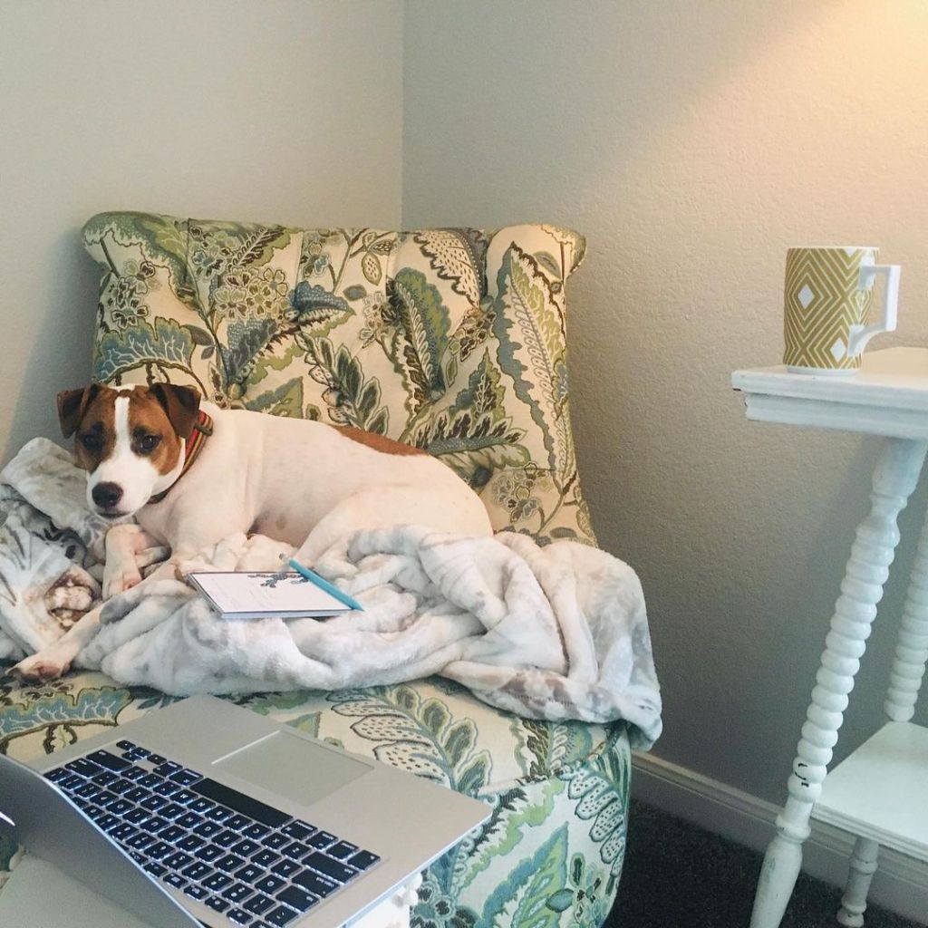 Top 5 Things Our Dog Taught Us About Office Manners